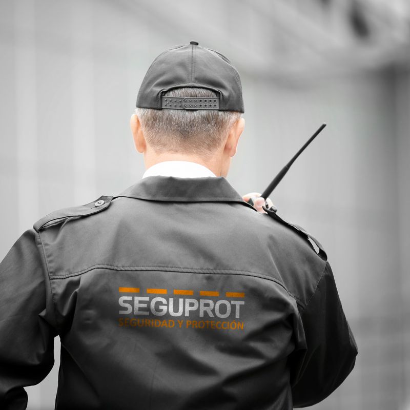 Seguprot seguridad en Teruel - expertos